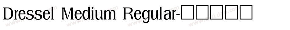 Dressel Medium Regular字体转换